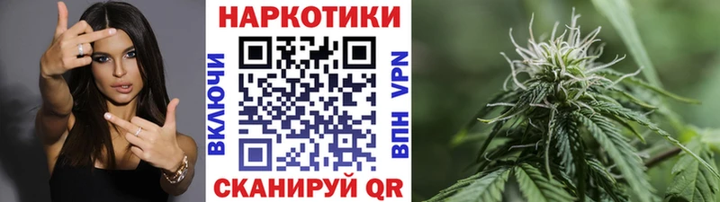 Псилоцибиновые грибы Ахтырский