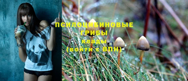 ПСИЛОЦИБИНОВЫЕ ГРИБЫ Абдулино