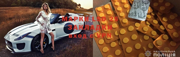 ПСИЛОЦИБИНОВЫЕ ГРИБЫ Абдулино