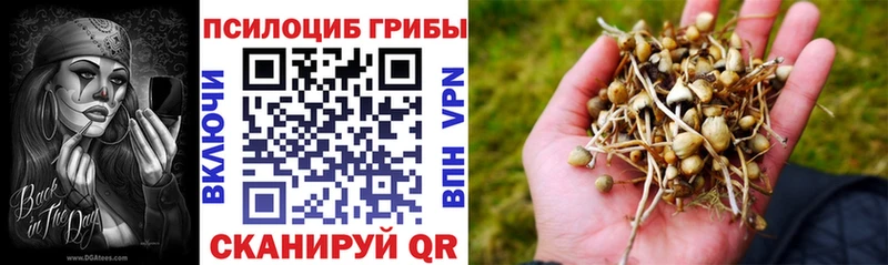 купить закладку  Ахтырский  ссылка на мегу   Псилоцибиновые грибы мухоморы 