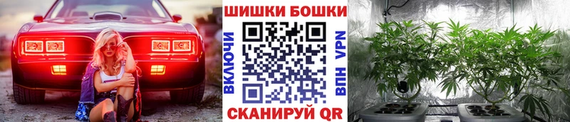 Каннабис White Widow  купить   Ахтырский 